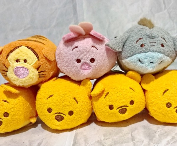 WP_20160424_10_42_42_Pro (3)